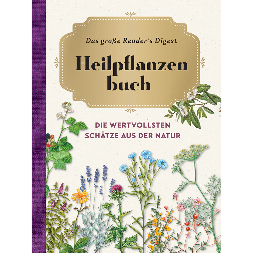 Vorschaubild 1