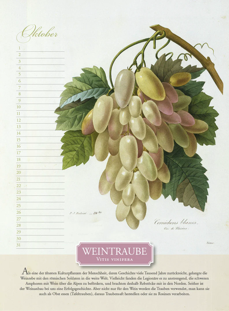 Immerwährender Kalender »Aus dem Früchtekorb« - Image 10