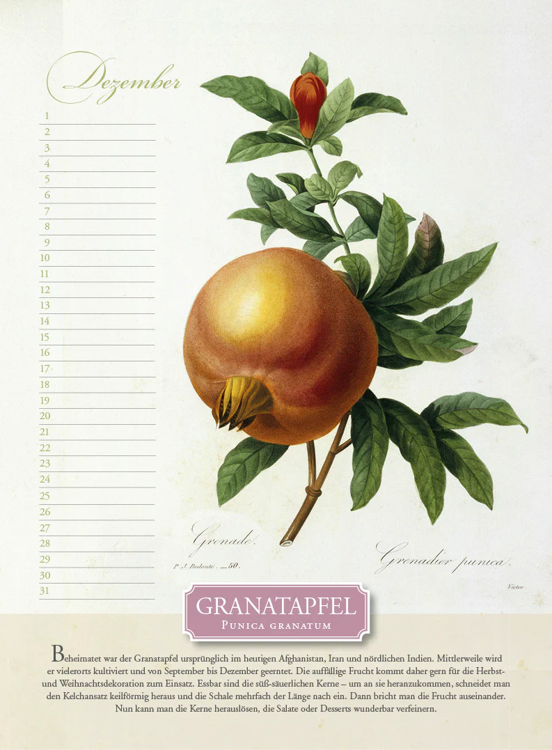 Immerwährender Kalender »Aus dem Früchtekorb« - Image 12