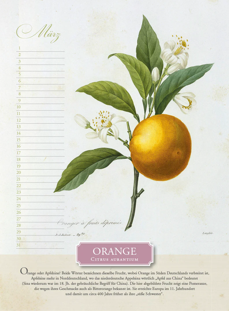 Immerwährender Kalender »Aus dem Früchtekorb« - Image 3