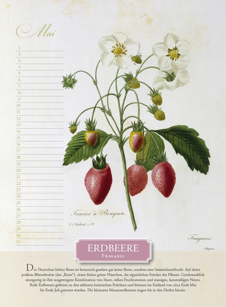 Immerwährender Kalender »Aus dem Früchtekorb« - Image 5