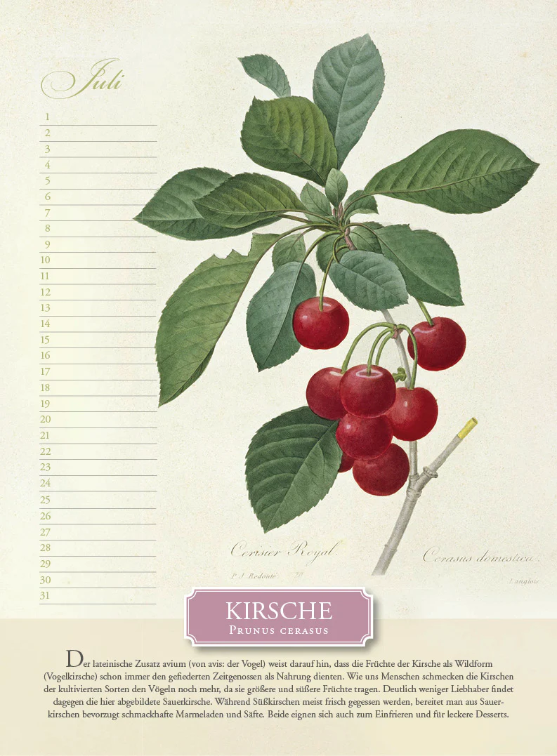Immerwährender Kalender »Aus dem Früchtekorb« - Image 7