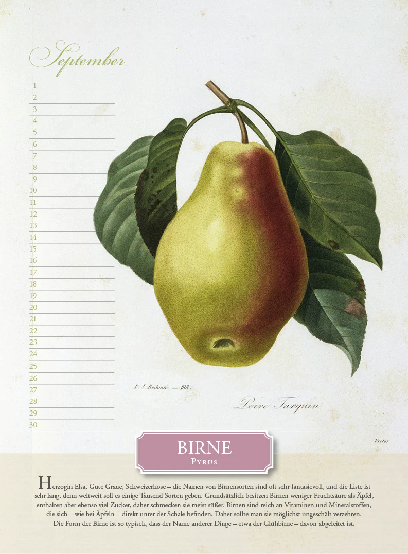 Immerwährender Kalender »Aus dem Früchtekorb« - Image 9