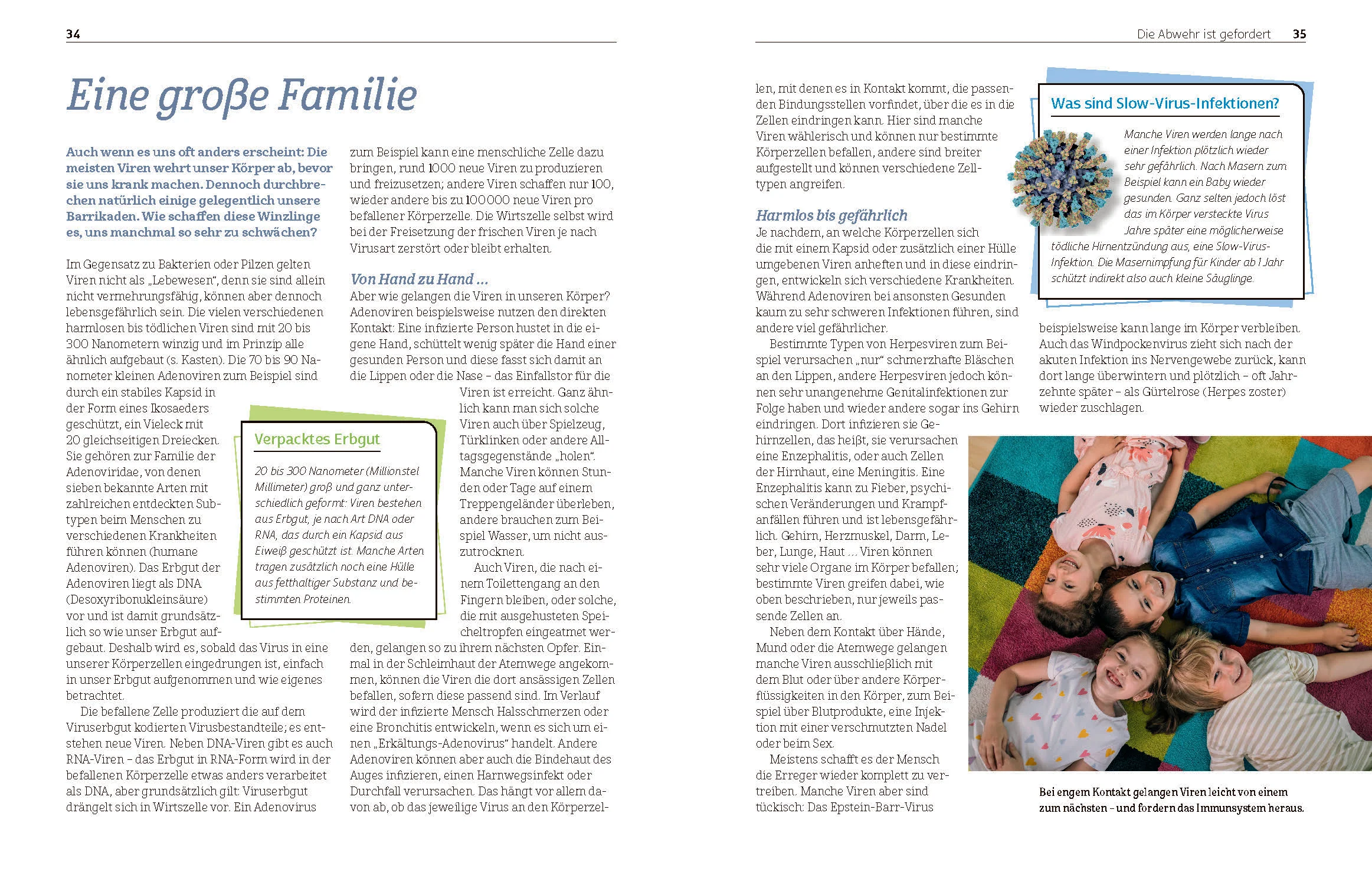 Was das Immunsystem stark macht - Image 4